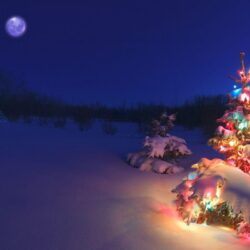Christmas Wallpapers 12 Backgrounds