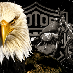 HD Harley Davidson Wallpapers