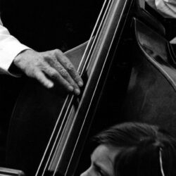 Best 51+ Double Bass Backgrounds on HipWallpapers