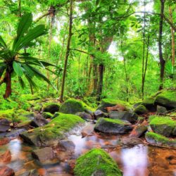 On the riverbank, quality backgrounds, max backgrounds