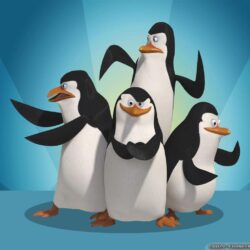 Penguins of Madagascar wallpapers