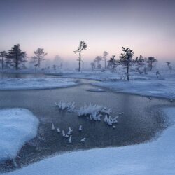 nature, Landscape, Sunrise, Winter, Mist, River, Trees, Snow