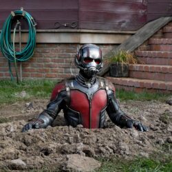 Ant Man And The Wasp 2018, HD Movies, 4k Wallpapers, Image