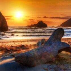 Sunset Beaches Wallpapers Download Free