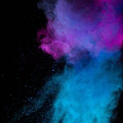 Download wallpapers paint, holi, multicolored, particles
