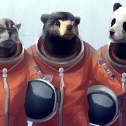 Animals Artwork Bears Cosmonaut Furry Panda Raccoons Wallpapers