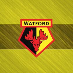Watford FC Wallpapers And Windows 10 Theme Desktop Backgrounds