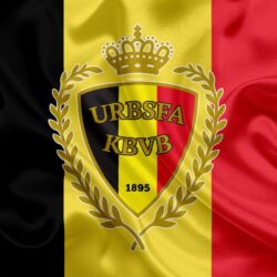 Download wallpapers Belgium national football team, logo, emblem