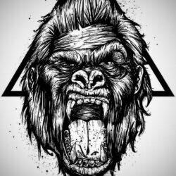 Download Gorilla Wallpapers by Sixty Days