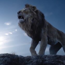 Lion King Hd Wallpapers 2019