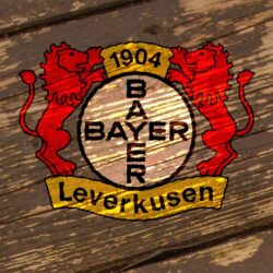 Bayer 04 Leverkusen Wallpapers 14