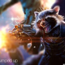 Rocket Raccoon Pumped Up by Awesome Design Studio HD desktop