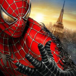 Wallpapers For > Spiderman 3 Logo Wallpapers Hd