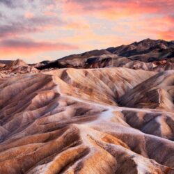 Joshua Tree and Death Valley · National Parks Conservation Association