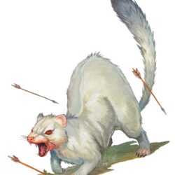 Expanding Codex: Albino Death Weasel