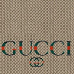 89 best image about Gucci