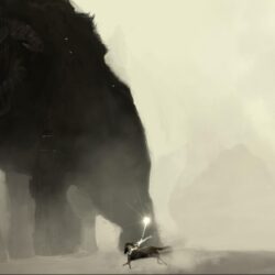 17 Best image about Ico & Shadow of the Colossus