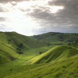 New Zealand Rolling Hills Wallpaper, iPhone Wallpaper, Facebook