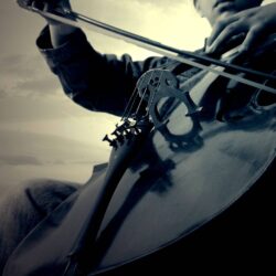 Image For > Black Cello Wallpapers