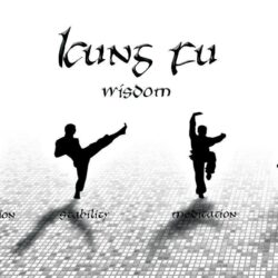 Papel de Parede Kung Fu