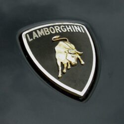 Lamborghini Logo Wallpapers Hd