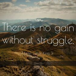 1173 martin luther king jr quote there is no gain without struggle
