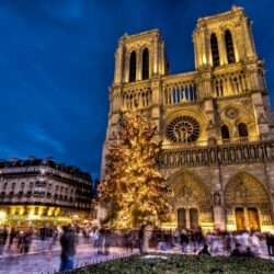 Wallpapers holiday, France, Paris, tree, New Year, area, Notre Dame