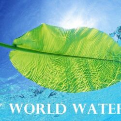 World Water Day Wallpapers Free Download