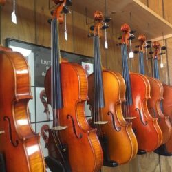 City of Appleton on Twitter: Rogeri Violin Shop prepares/repairs