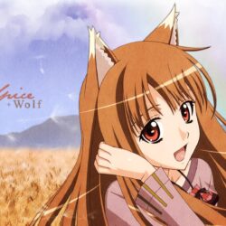 px Spice And Wolf 656.64 KB