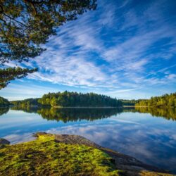 Wallpapers the sky, branches, Sweden, forest, Sweden, lake