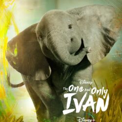 The One and Only Ivan Poster 10: Full Size Poster Image
