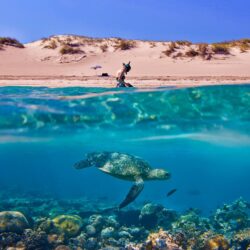 Australia sand dunes umbrellas scuba diving split