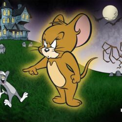 Lovely Wallpapers of Funny Characters Tom & JerryPhotography