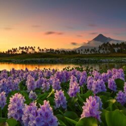 Mayon Volcano at distance, Philippines : wallpapers