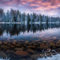 nature, Landscape, Winter, Sunrise, Lake, Forest, Snow, Morning
