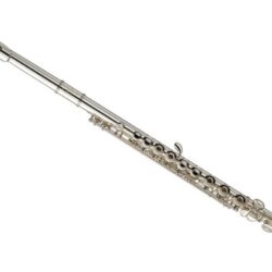 Best flutes/Piccolos