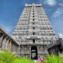 Palani Murugan Temple Wallpapers, Photos & Image Download