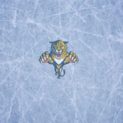 Florida Panthers Backgrounds Free Download