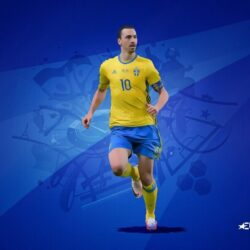 Euro 2016 team profile: Sweden