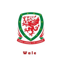 UEFA Euro 2016 Wales wallpapers