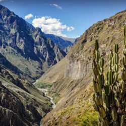 Hiking the Colca Canyon Trek in Arequipa