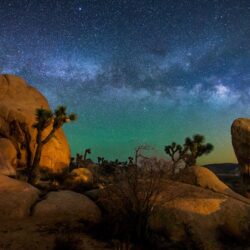 Starry Sky Joshua Tree National Park Usa Hd Wallpapers For Desktop