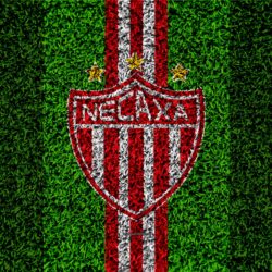 Download wallpapers Club Necaxa, 4k, football lawn, logo, Mexican