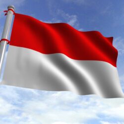 Best 10+ Indonesia flag ideas