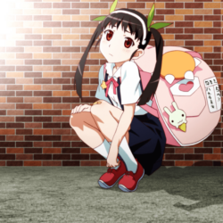 Wallpapers : anime girls, kawaii girl, white skin, Monogatari Series