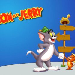 Wallpaper’s Collection: «Tom and Jerry Wallpapers»