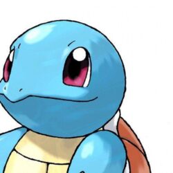 ScreenHeaven: Pokemon Squirtle desktop and mobile backgrounds