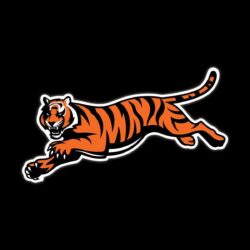 CINCINNATI BENGALS nfl football gs wallpapers