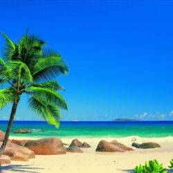 Seychelles by Murals : Wallpapers Direct